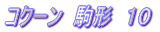 コクーン 駒形 10
